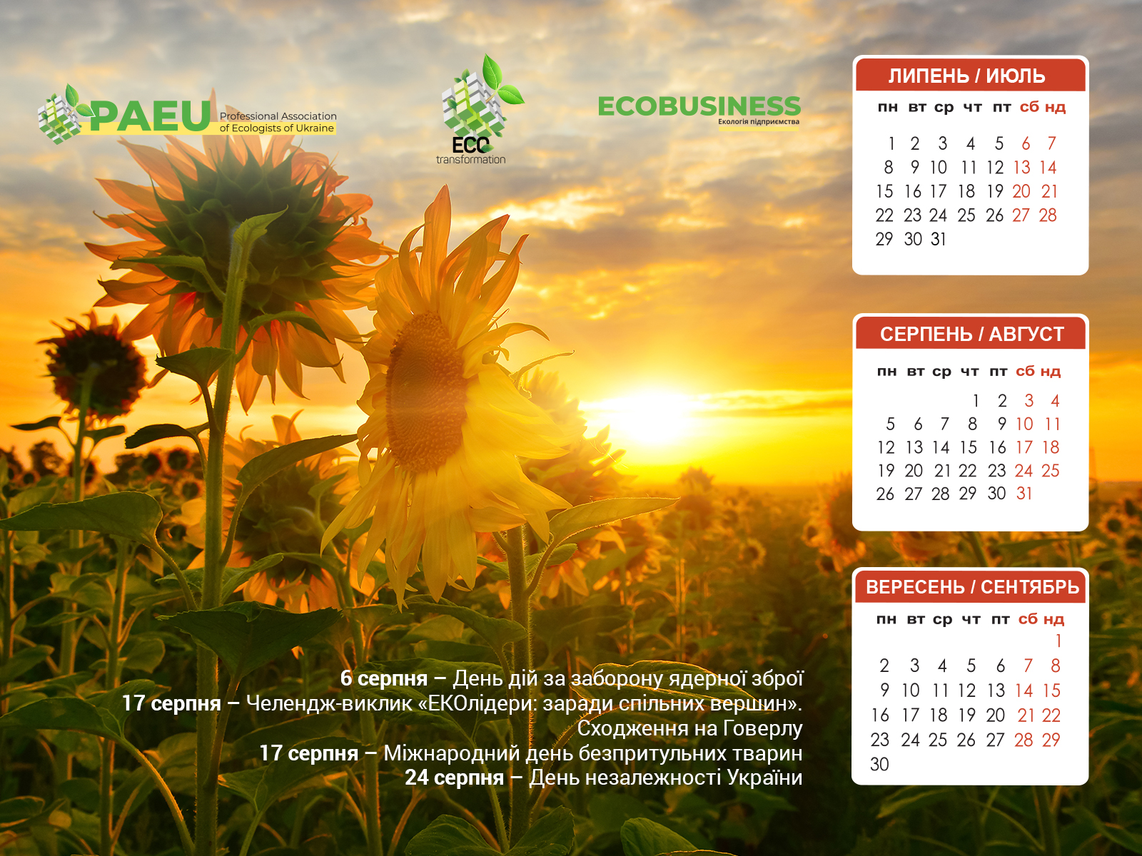 Серпневий календар-заставка на робочий стіл - Журнал ECOBUSINESS
